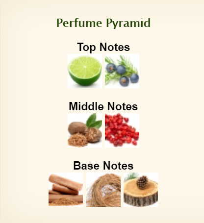 عطر اسكادا سنتمنت او دو تواليت للرجال 100مل