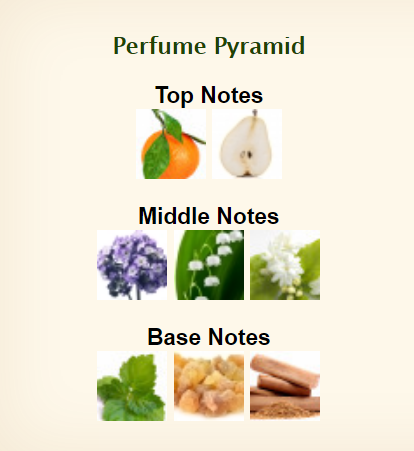 Antonio Banderas Queen of Seduction Absolute Diva Eau De Toilette for Women 80ml