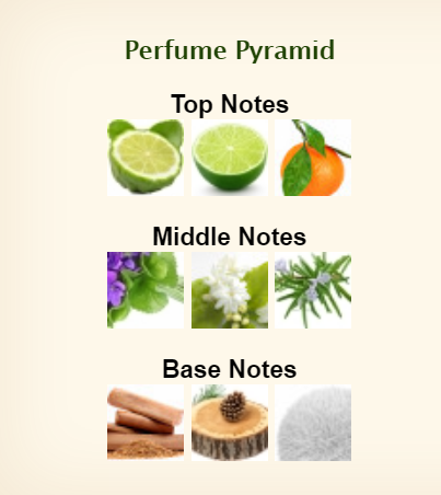 Lanvin Eclat D Arpege Eau De Toilette For Men 100ml