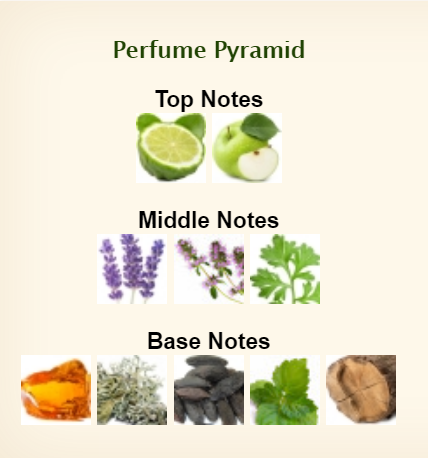 Antonio Banderas Power Of Seduction Eau De Toilette for Men 100ml