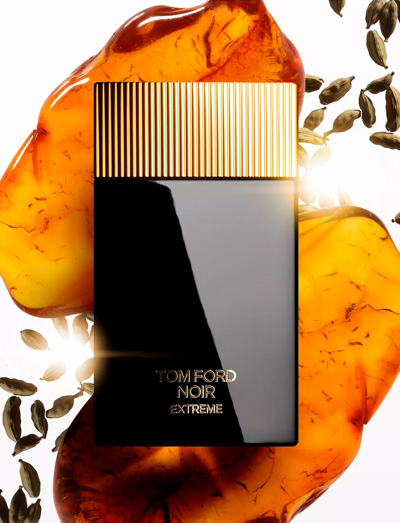 Tom Ford Noir Extreme Set for Men Eau De Parfum 100ml + Mini Travel 10ml