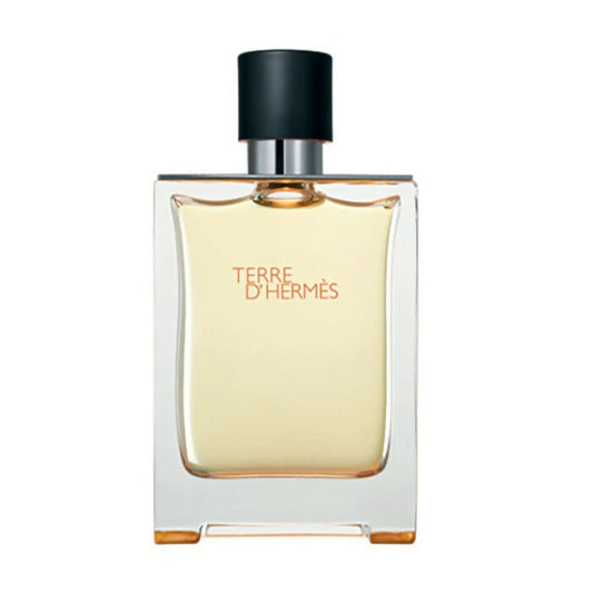 Hermes Terre Dhermes Eau De Toilette For Men 100ml