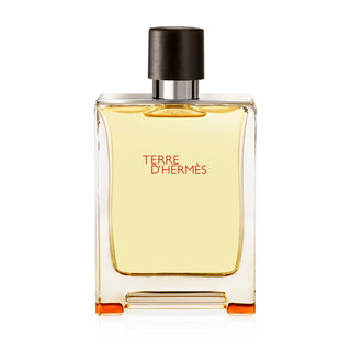 Hermes Terre D Hermes Parfum for Men 75ml