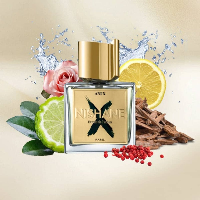 Nishane Ani X Extrait De Parfum For Unisex 100ml – O2morny.com