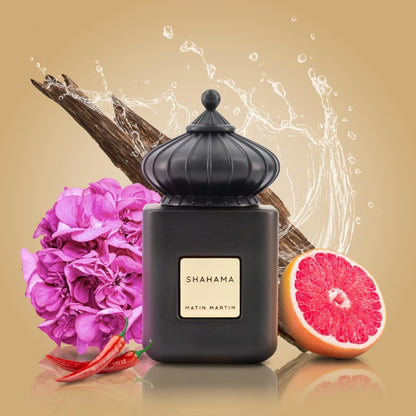 عطر ماتين مارتن شهامة او دو بارفان للرجال 100 مل