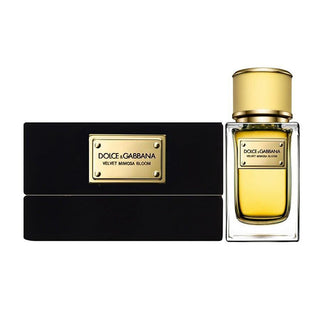 Dolce & Gabbana Velvet Mimosa Bloom Eau De Parfum For Women 50ml