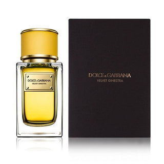 Dolce & Gabbana Velvet Ginestra Eau De Parfum For Women 50ml