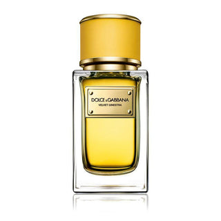 Dolce & Gabbana Velvet Ginestra Eau De Parfum For Women 50ml