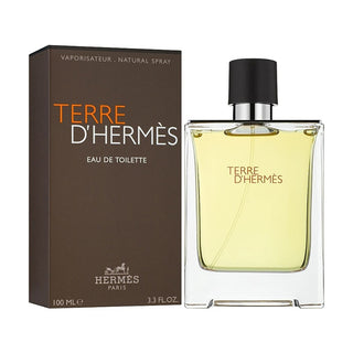 Hermes Terre D Hermes Eau De Toilette For Men 100ml