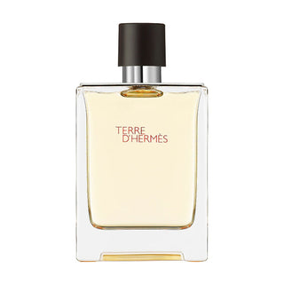 Hermes Terre D Hermes Eau De Toilette For Men 100ml