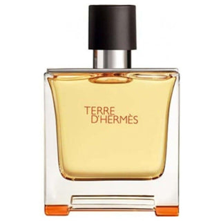 Hermes Terre D Hermes Parfum For Men 75ml