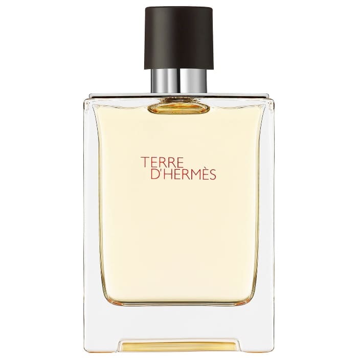 Hermes Terre D Hermes Eau De Toilette For Men 100ml