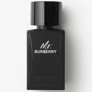 Burberry Mr Burberry Eau De Parfum For Men 100ml