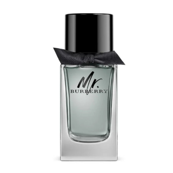 Burberry Mr Burberry Eau De Toilette for Men 100ml
