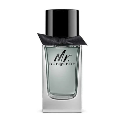Burberry Mr Burberry Eau De Toilette for Men 100ml