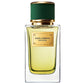Dolce & Gabbana Velvet Vetiver Eau De Parfum For Unisex 100ml