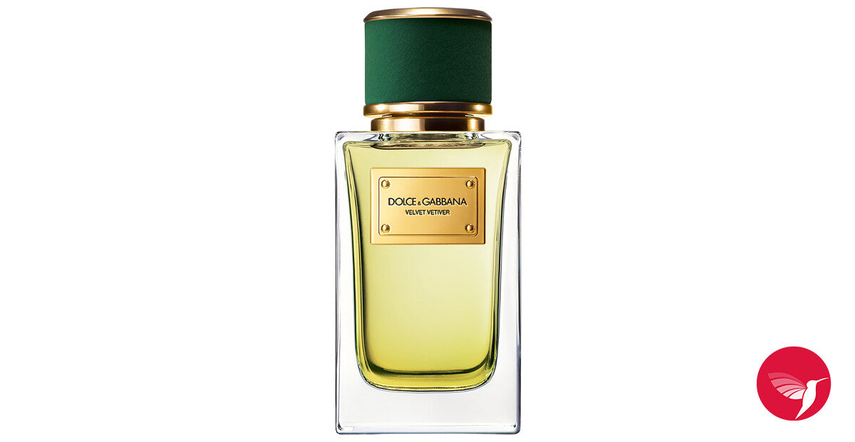 Dolce & Gabbana Velvet Vetiver Eau De Parfum For Unisex 100ml