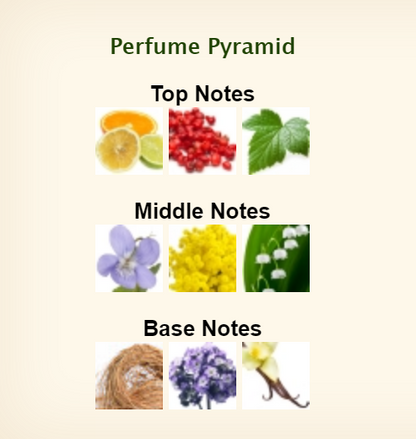 Lacoste Eau De Lacoste L.12.12 Elegant Pour Elle Eau De Toilette for Women 90ml