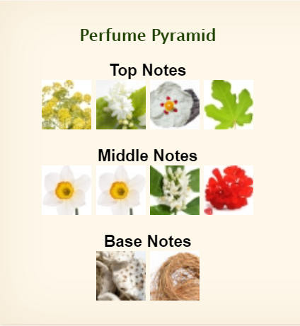 Dolce & Gabbana Velvet Pure Eau De Parfum For Women 50ml