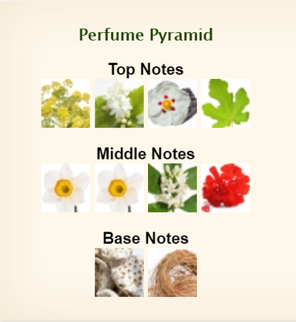 Dolce & Gabbana Velvet Pure Eau De Parfum For Women 50ml