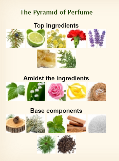 Cerutti 1881 Eau De Toilette For Men 200ml