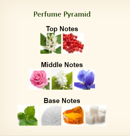 Antonio Banderas Her Secret Temptation Deluxe Edition Eau De Toilette for Women 80ml