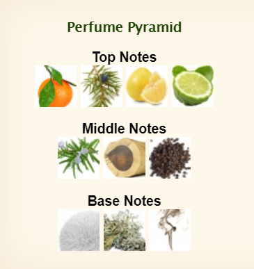 Dolce & Gabbana Light Blue Eau De Toilette For Men 125ml