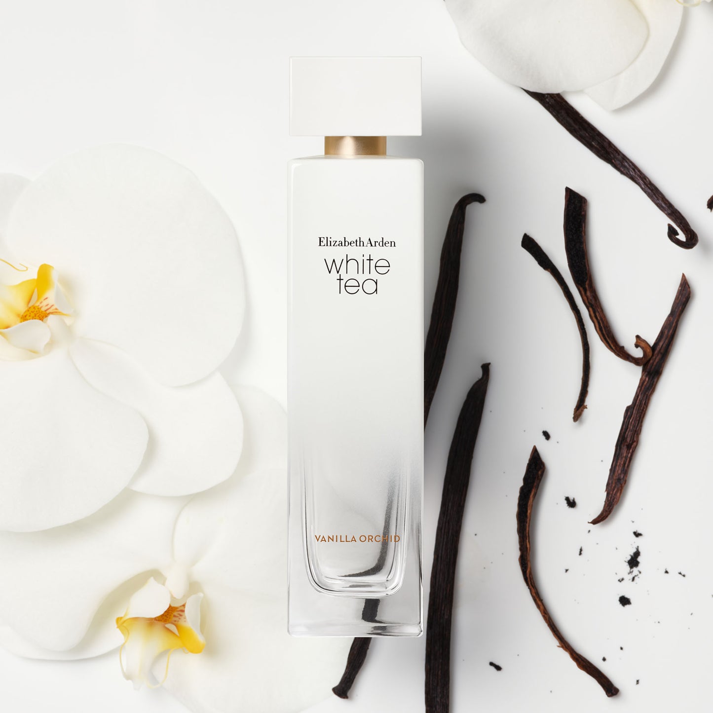 Elizabeth Arden White Tea Vanilla Orchid Eau De Toilette For Women 100ml