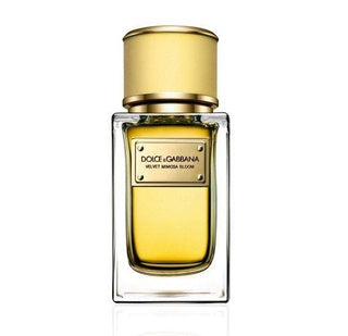 Dolce & Gabbana Velvet Mimosa Bloom Eau De Parfum For Women 50ml
