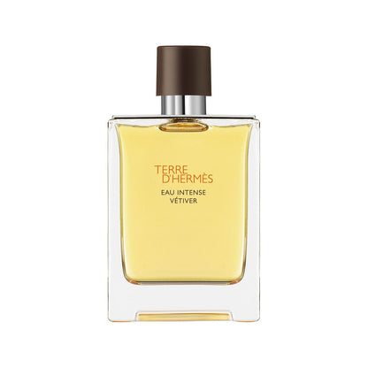 Hermès Terre D Hermès Eau Intense Vétiver Eau De Parfum For Men 100ml