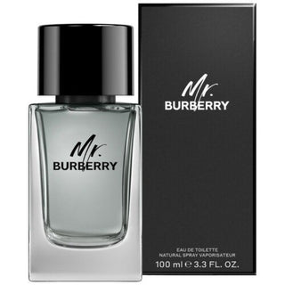 Burberry Mr Burberry Eau De Toilette for Men 100ml