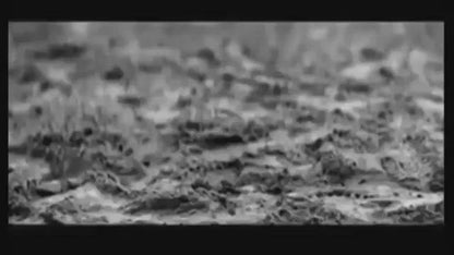 عطر فيراري سكوديريا بلاك او دو تواليت للرجال 125 مل