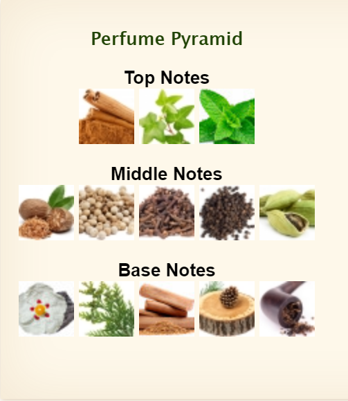 Jil Sander Sander Eau De Toilette For Men 125ml