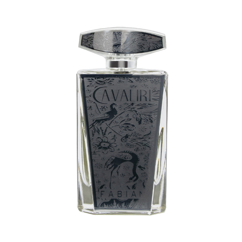 Fabian Cavaliri Silver Eau De Parfum For Men 100ml