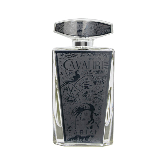 Fabian Cavaliri Silver Eau De Parfum For Men 100ml
