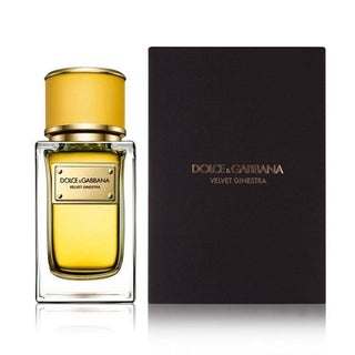 Dolce & Gabbana Velvet Ginestra Eau De Parfum For Women 50ml