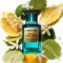 Tom Ford Neroli Portofino Eau De Parfum For Unisex 50ml