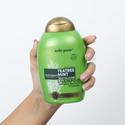 Ever Pure Teatree Mint Shampoo 385ml