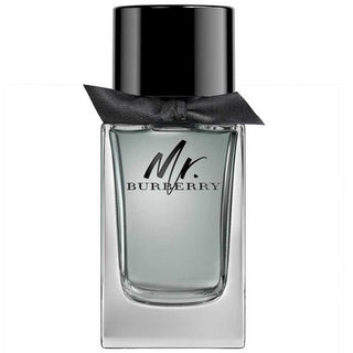 Burberry Mr Burberry Eau De Toilette for Men 100ml - O2morny.com