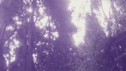 Bvlgari Omnia Amethyste Eau De Toilette For Women 65ml