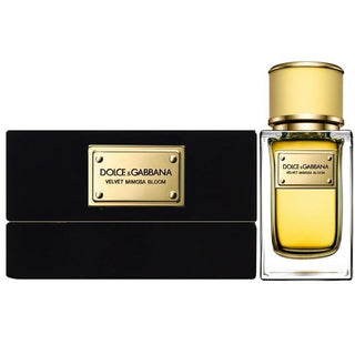 Dolce & Gabbana Velvet Mimosa Bloom Eau De Parfum For Women 50ml