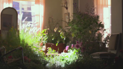 Gucci Bloom Nettare Di Fiori Eau De Parfum For Women 100ml