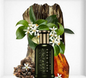 Hugo Boss Bottled Oud Aromatic Eau De Perfume for Men 100ml - O2morny.com