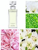 Calvin Klein Eternity Eau De Parfum for Women 100ml - O2morny.com