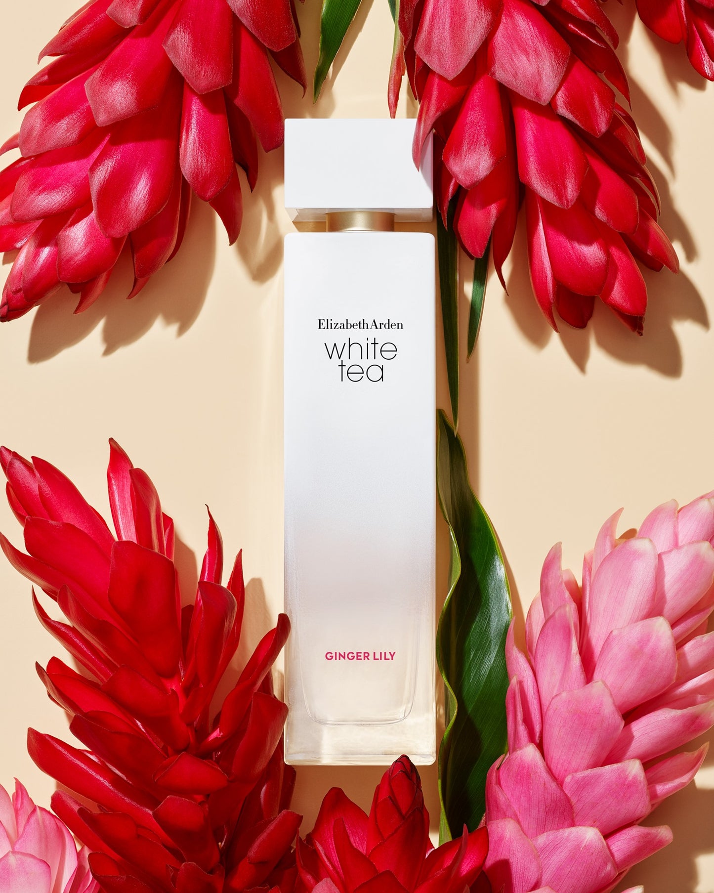 Elizabeth Arden White Tea Ginger Lily Eau De Toilette For Women 100ml