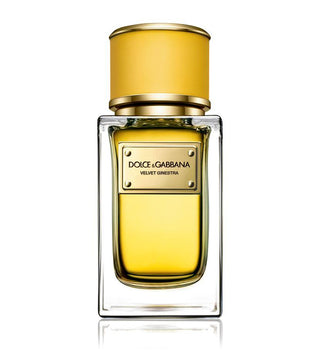 Dolce & Gabbana Velvet Ginestra Eau De Parfum For Women 50ml